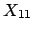 $X_{11}$