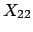 $X_{22}$