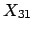 $X_{31}$