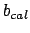 $b_{cal}$