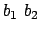 $b_1 b_2$